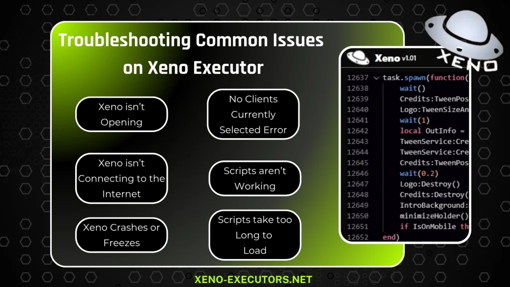 Troubleshooting Common Issues on Xeno Executor 1