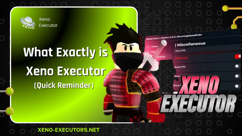 What Exactly is Xeno Executor