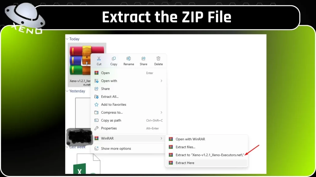 extract the zip file